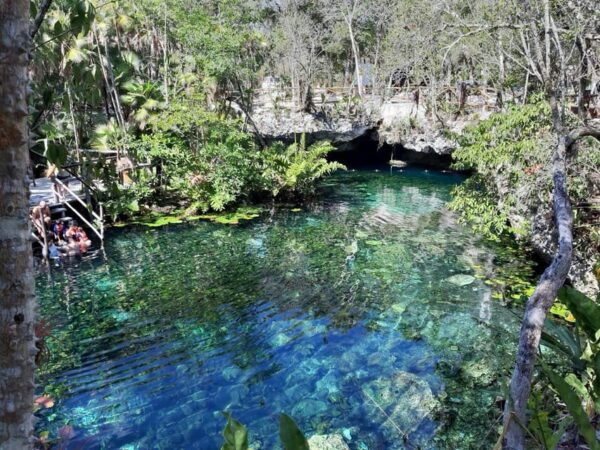 From Riviera Maya: Coba Ruins and Cenotes Day Trip - Mayan Culinary Experience