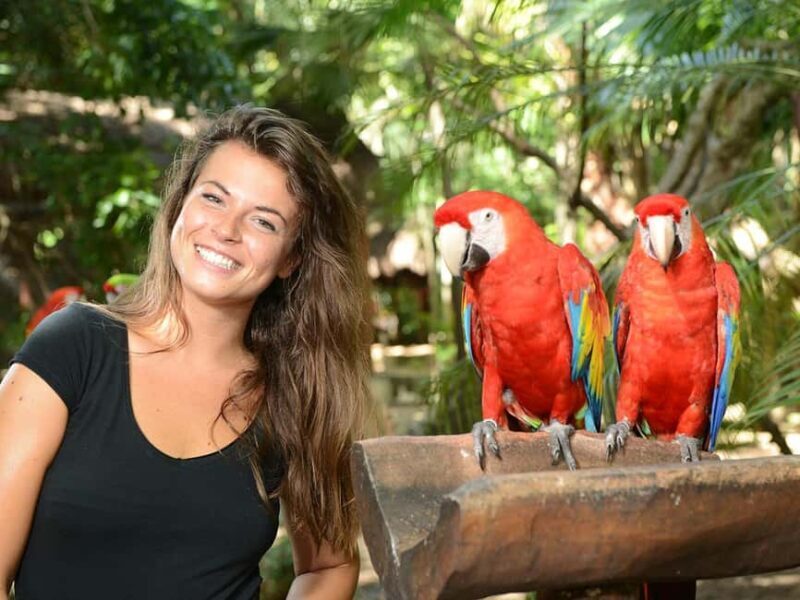 From Riviera Maya: Complete Combo to Xcaret Park! - A Closer Look at the Xcaret Experience