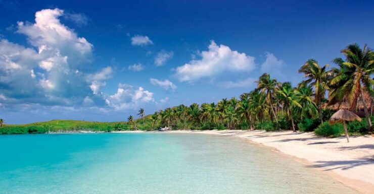 From Riviera Maya: Day Tour to Contoy and Isla Mujeres - Experience Highlights