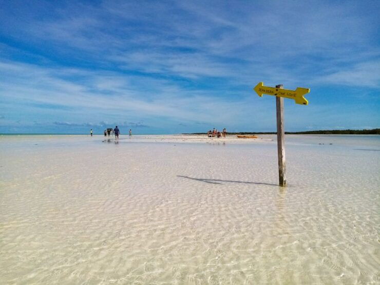 From Riviera Maya: Holbox Full-Day Tour With Lunch - Tour Overview
