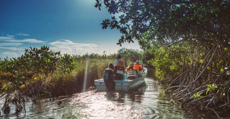 From Riviera Maya: Mayan Ruins & Sian Kaan Reserve Tour - Tour Experience