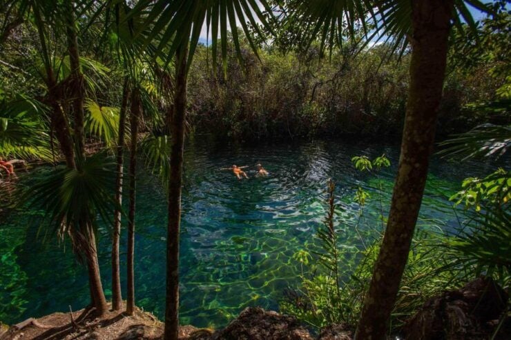 From Riviera Maya: Private Temazcal & Cenote Ceremony - Activity Details