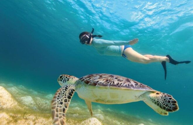 From Riviera Maya: Tulum, Cenote, & Akumal Turtle Swim Trip - Highlights and Activities