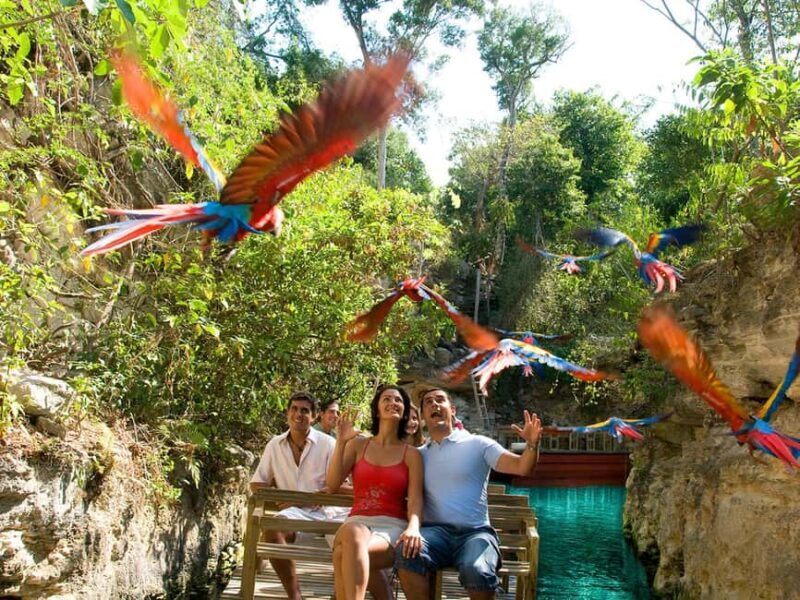 From Riviera Maya: Xcaret Park All-Inclusive - What to Expect on Your Day at Xcaret