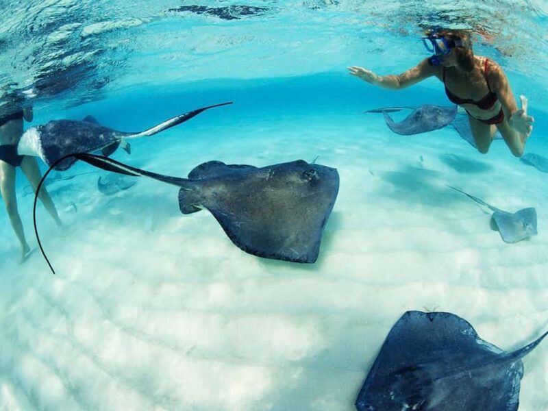 From Riviera Maya: Xcaret Park Plus, the complete experience - Who Should Consider This Tour?