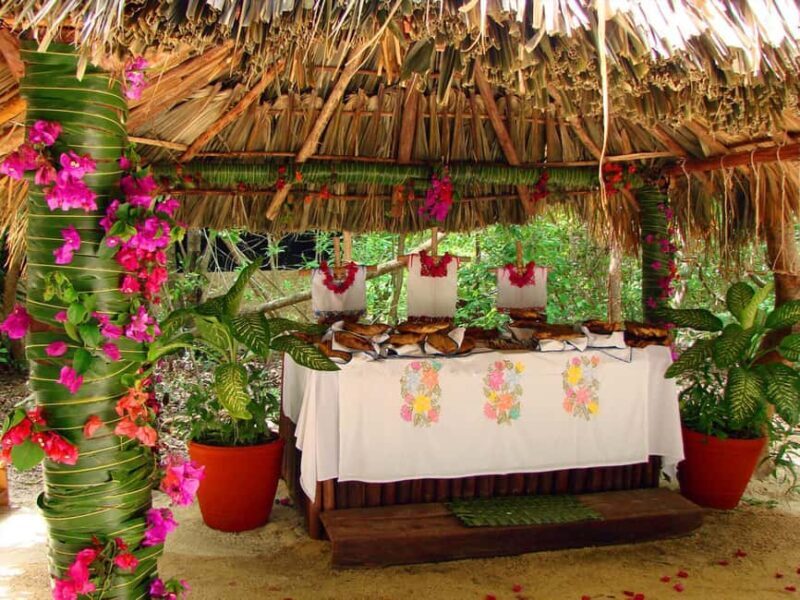 From Riviera Maya: Xel-Há All-Inclusive Park - FAQ – Everything You Need to Know