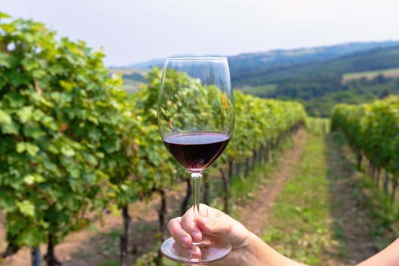 From Roma: Montepulciano and Montalcino, on the Wine Routes - Exploring Tuscany’s Classic Towns: Montepulciano and Montalcino on the Wine Routes