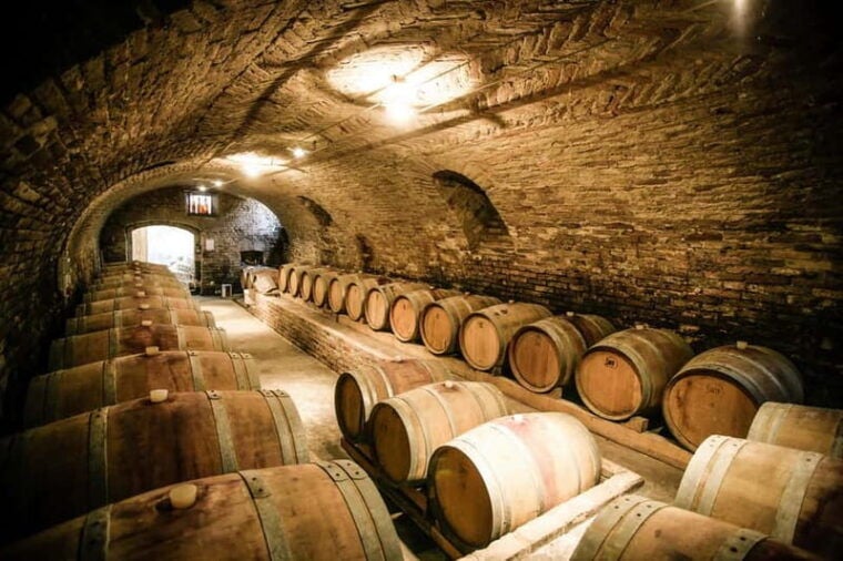 From Roma: Montepulciano and Montalcino, on the Wine Routes - Who’s This Tour Best For?