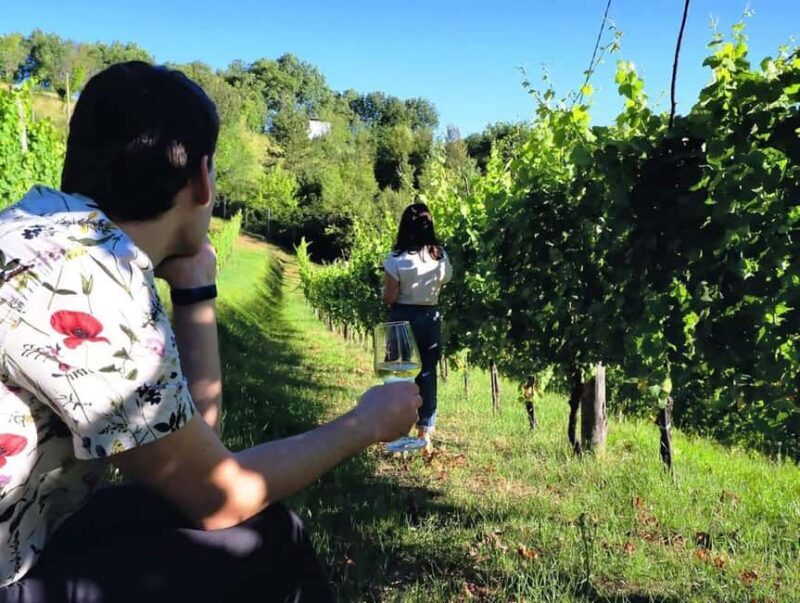 From Rome: Cantina Le Macchie Winery Tour and Tasting - Who Will Love This Tour?