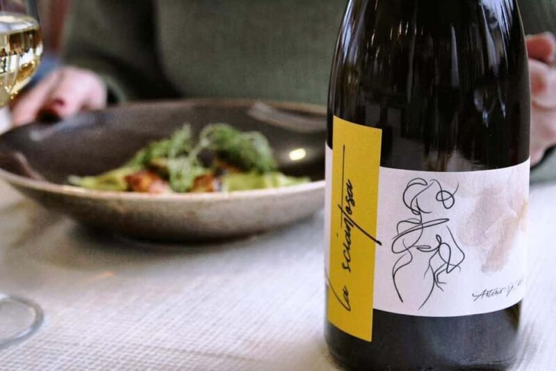 From Rome: Cantina Le Macchie Winery Tour and Tasting - Final Thoughts