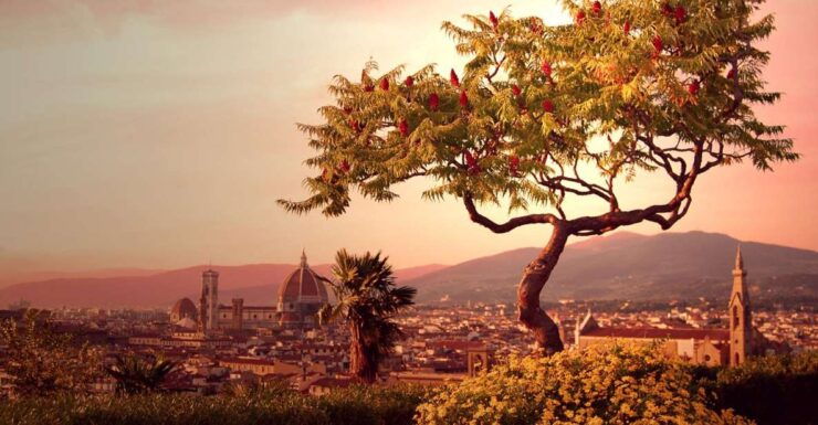 From Rome: Day Trip to Florence by High-Speed Train - Booking Details