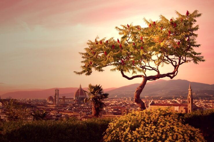 From Rome: Day Trip to Florence by High-Speed Train - Experience Highlights