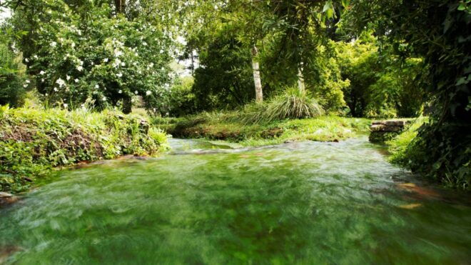 From Rome: Entrance Ticket to the Ninfa Gardens - Description