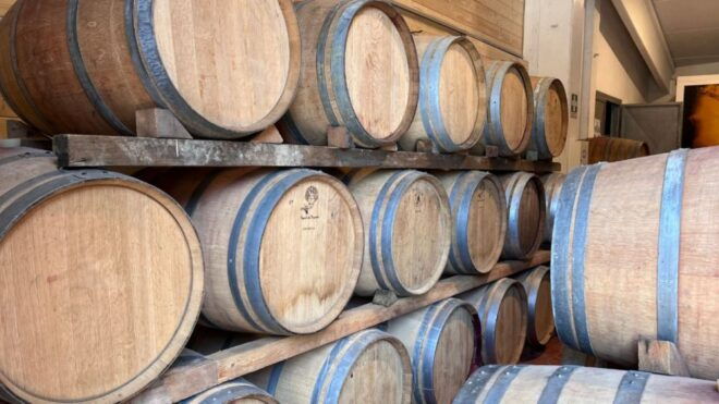 From Rome: Florence & Tuscany Day Tour by High-Speed Train - Itinerary Highlights