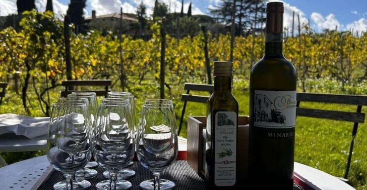 From Rome: Frascati Wine Tour & Farmhouse Lunch (Half-Day) - Overview of Frascati Wine Tour