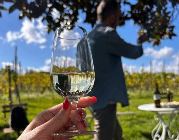 From Rome: Frascati Wine Tour & Farmhouse Lunch (Half-Day) - Farmhouse Lunch With Local Specialties