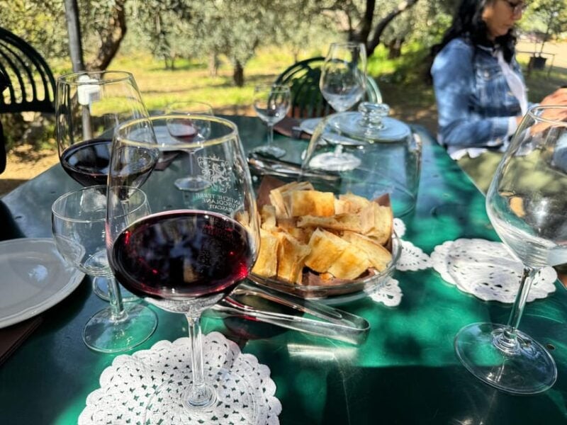 From Rome: Frascati Wine Tour with Lunch and Vineyard tour - A Taste of Frascati: An In-Depth Look at the Wine and Culture Tour