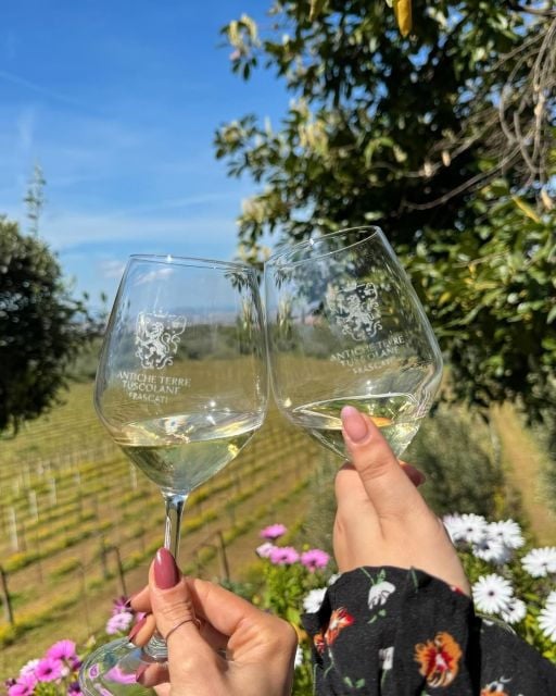 From Rome: Frascati Wine Tour with Lunch and Vineyard tour - The Itinerary: What You’ll Actually Experience