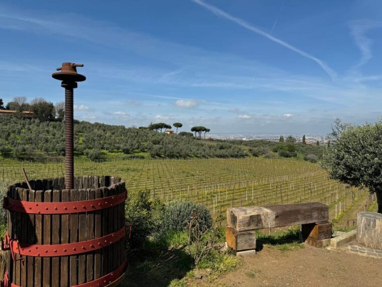 From Rome: Frascati Wine Tour with Lunch and Vineyard tour - What Makes This Tour Worth It