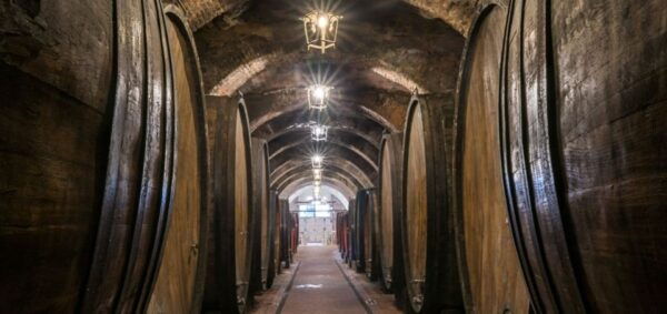 From Rome: Montepulciano and Pienza Tour With Wine Tasting - Frequently Asked Questions