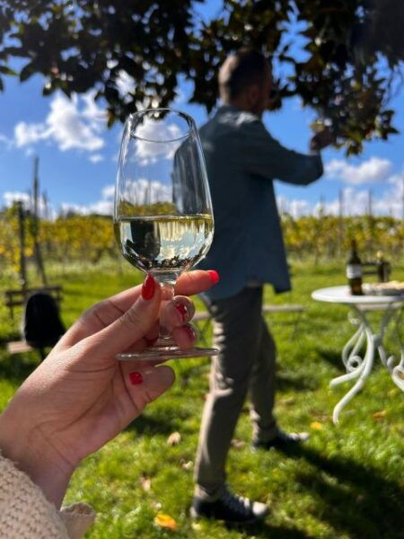 From Rome: Pasta Masterclass & Wine Tour in the Vineyard - Testimonials