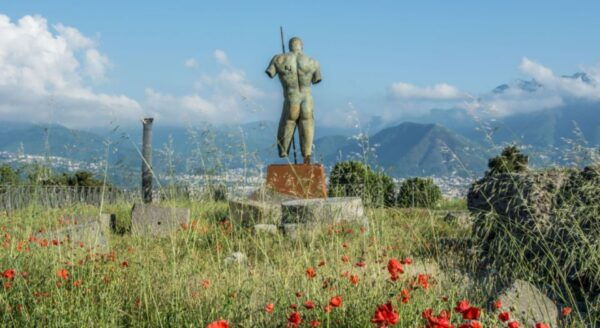 From Rome: Pompei by Bullet Train With Pasta Class & Lunch - Safety Briefing