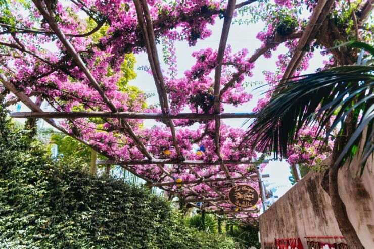From Rome: Pompeii, Amalfi Coast and Positano Day Trip - Experience