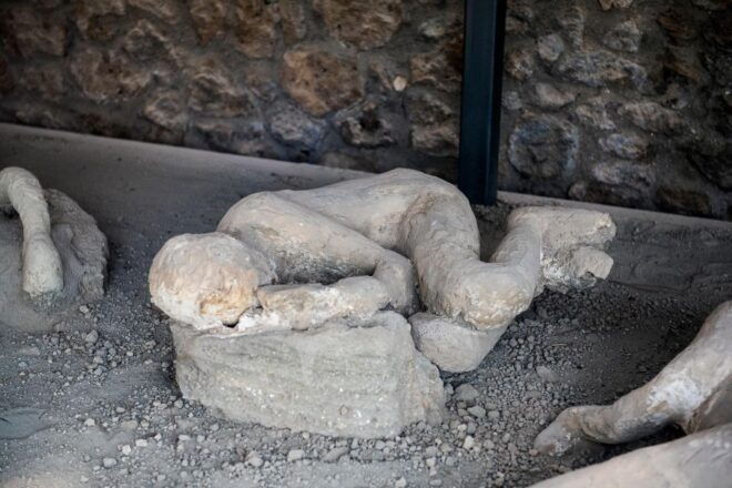 From Rome: Pompeii and Herculaneum by High Speed Train - Additional Information