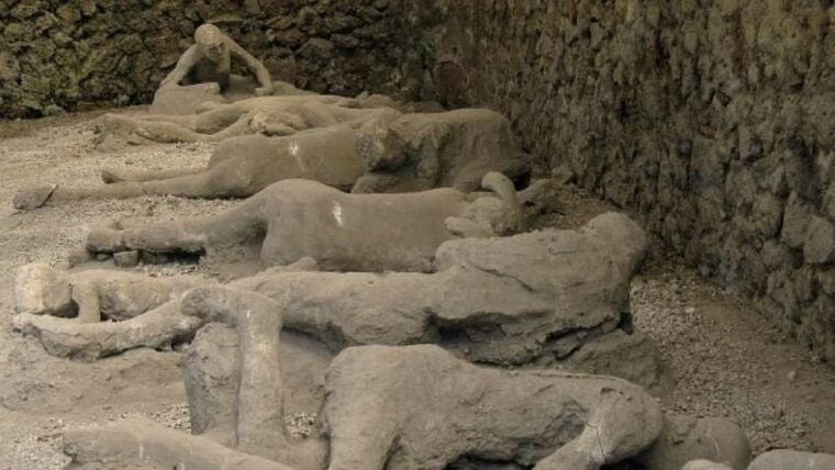 From Rome: Pompeii and Mount Vesuvius Day Trip - Why This Tour Offers Good Value