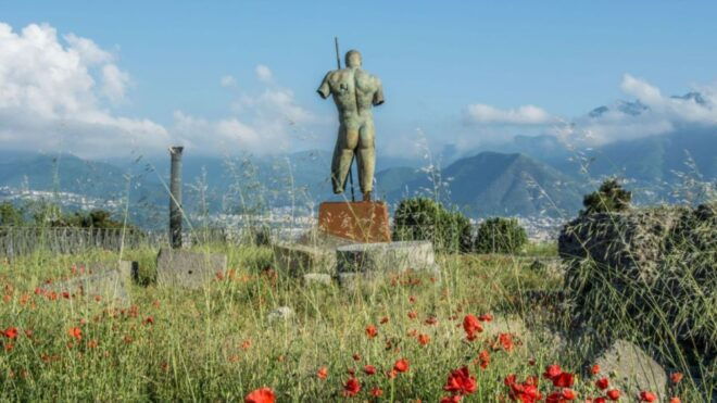 From Rome: Pompeii and Naples Day Trip by High-Speed Train - Inclusions and Transportation