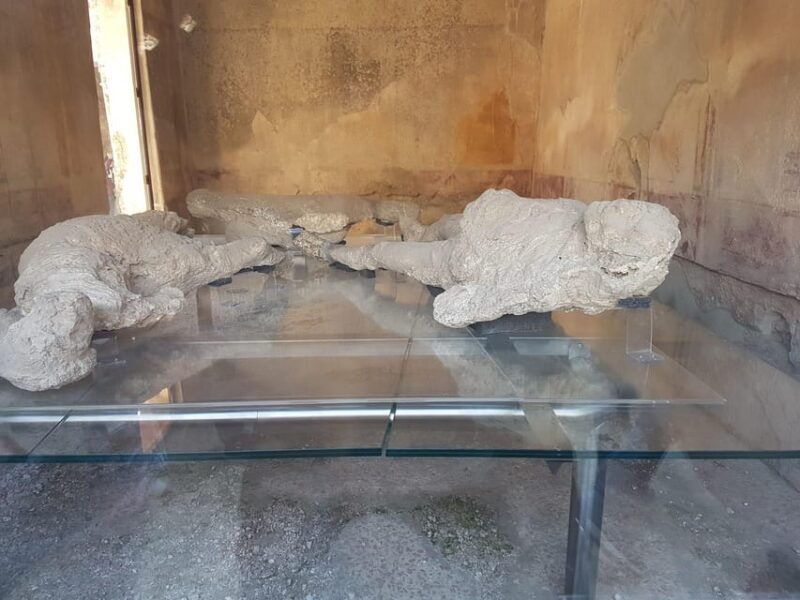 From Rome: Pompeii and Naples with Lunch, Private Day Tour - Exploring Pompeii and Naples in a Day: A Practical Review