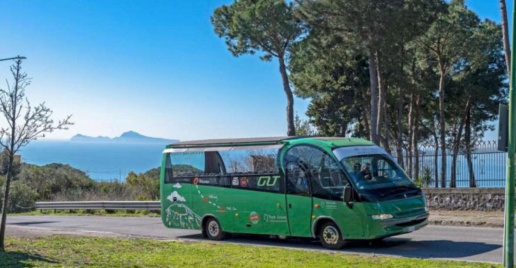 From Rome: Pompeii and Vesuvio Guided Day Trip With Lunch - Tour Details