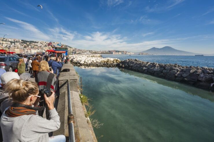 From Rome: Pompeii Guided Day Trip With Lunch - Booking Details