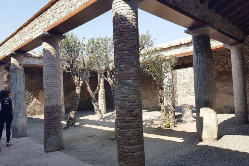 From Rome: Pompeii & Naples Small-Group Day Tour with Lunch - Good To Know