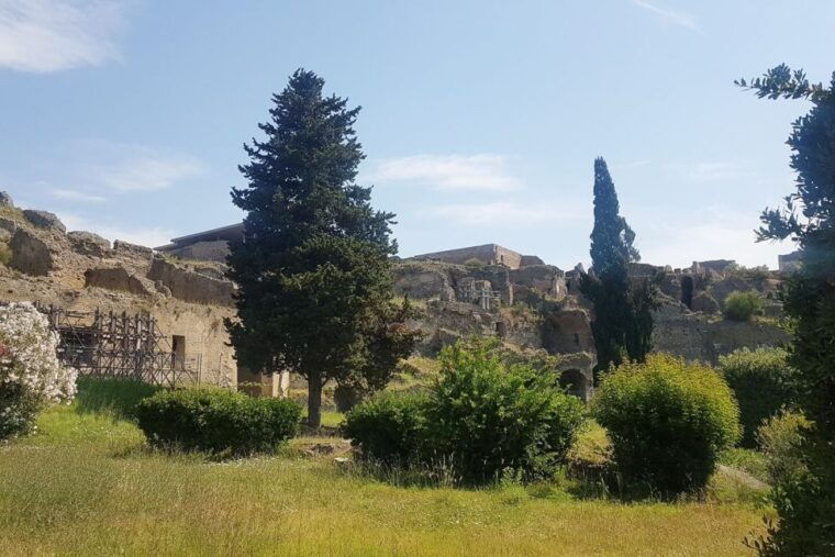 From Rome: Pompeii & Naples Small-Group Day Tour with Lunch - Practical Tips