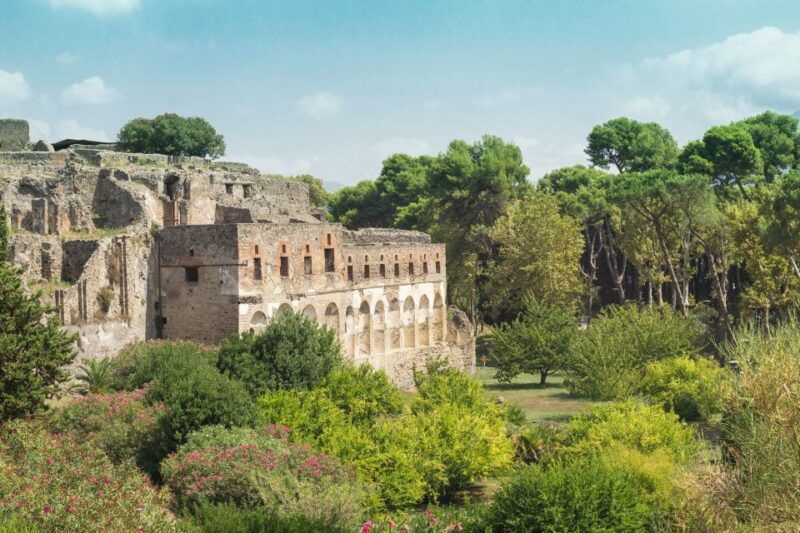 From Rome: Pompeii Private Full-Day Trip with Tour - The Journey from Rome to Pompeii