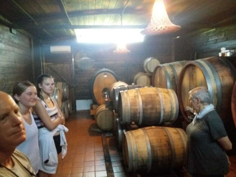 From Rome: Pompeii Ruins and Mt. Vesuvius with Lunch&Wine - Additional Information