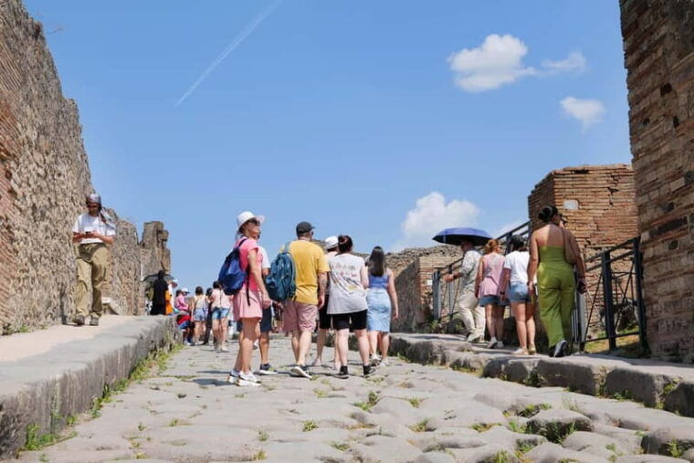 From Rome: Pompeii Ruins Tour with Expert Guide & Fast Train - Inside Pompeii: What to Expect on the Tour