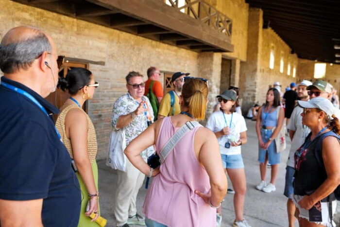 From Rome: Pompeii Ruins Tour with Expert Guide & Fast Train - Who Would Love This Tour?