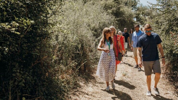 From Rome: Pompeii With Winery Lunch on Mount Vesuvius - Booking and Logistics