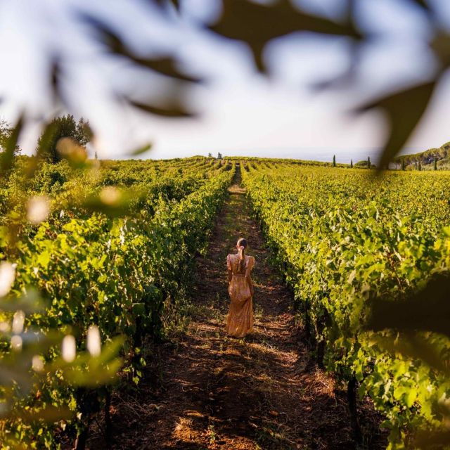 From Rome: Private Day-Tour of Tuscany - Good To Know