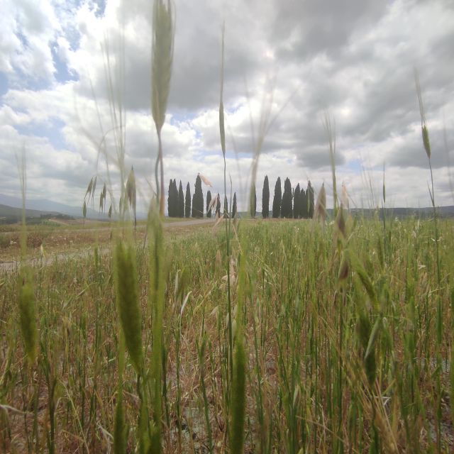 From Rome: Private Day-Tour of Tuscany - Directions
