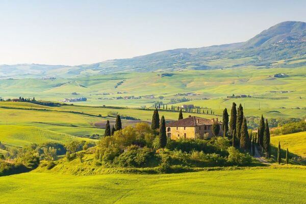 From Rome: Private Day-Tour of Tuscany - The Sum Up