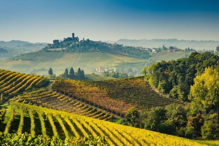 From Rome: Private Frascati Tour With Lunch & Wine Tasting - Experience Highlights