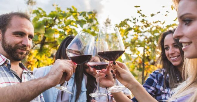From Rome: Private Frascati Tour With Lunch & Wine Tasting - Customer Review