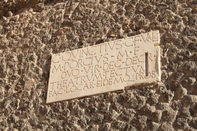 From Rome: Private Pompeii Day Trip by Car/Train - Tour Description