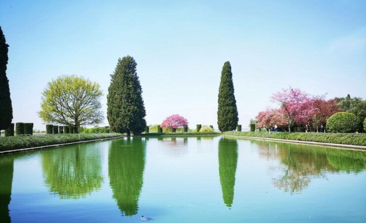 From Rome: Private Tivoli Villas Day Trip - Trip Details