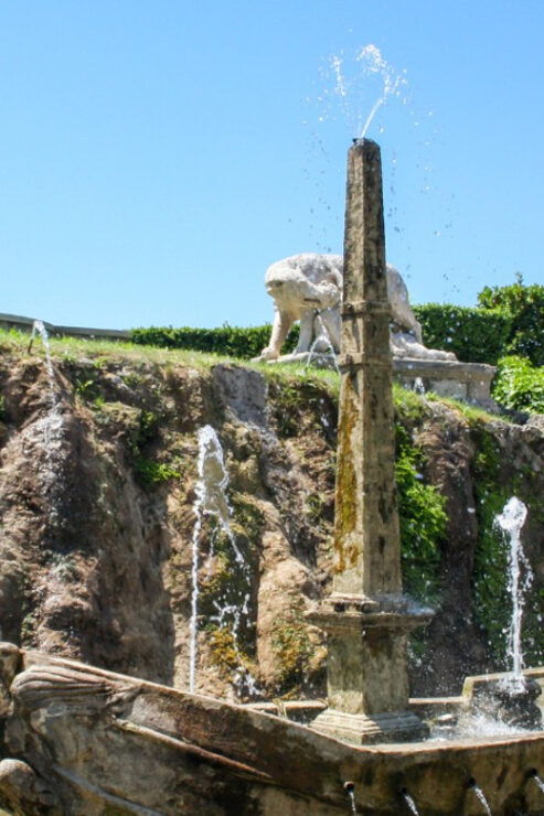 From Rome: Private Tour in VAN and Tickets to Villa DESTE - Good To Know