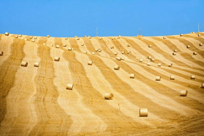 From Rome: Private Tuscany Day Trip - Customer Experience