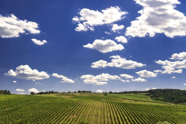 From Rome: Private Tuscany Day Trip - Frequently Asked Questions